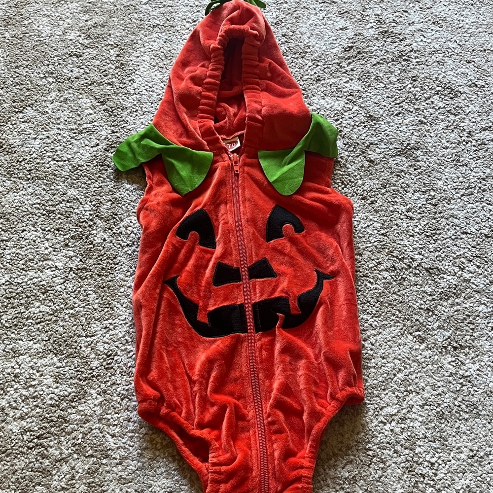 Pumpkin Hooded Kids Costume - Orange and Green